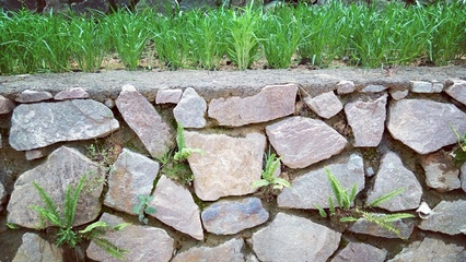 擋土墻華麗變身可食地景觀梯田